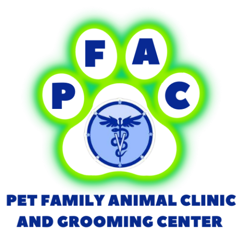 Free Home Dog Grooming Masterclass Course | 7-Language Certificate