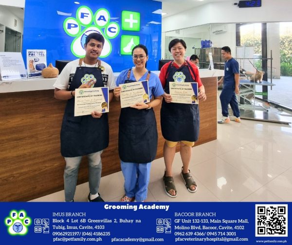 Training Your Dog to Stay Calm During Grooming with Online Help